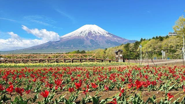 山梨県｜駐車場需要