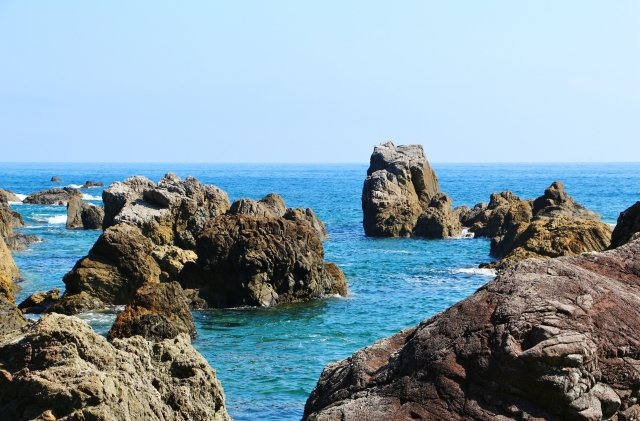 高知県｜「土佐の文化」が生む季節型の大需要