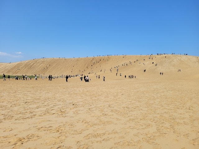 鳥取県｜砂丘と水木しげるロードに外国人が来ています